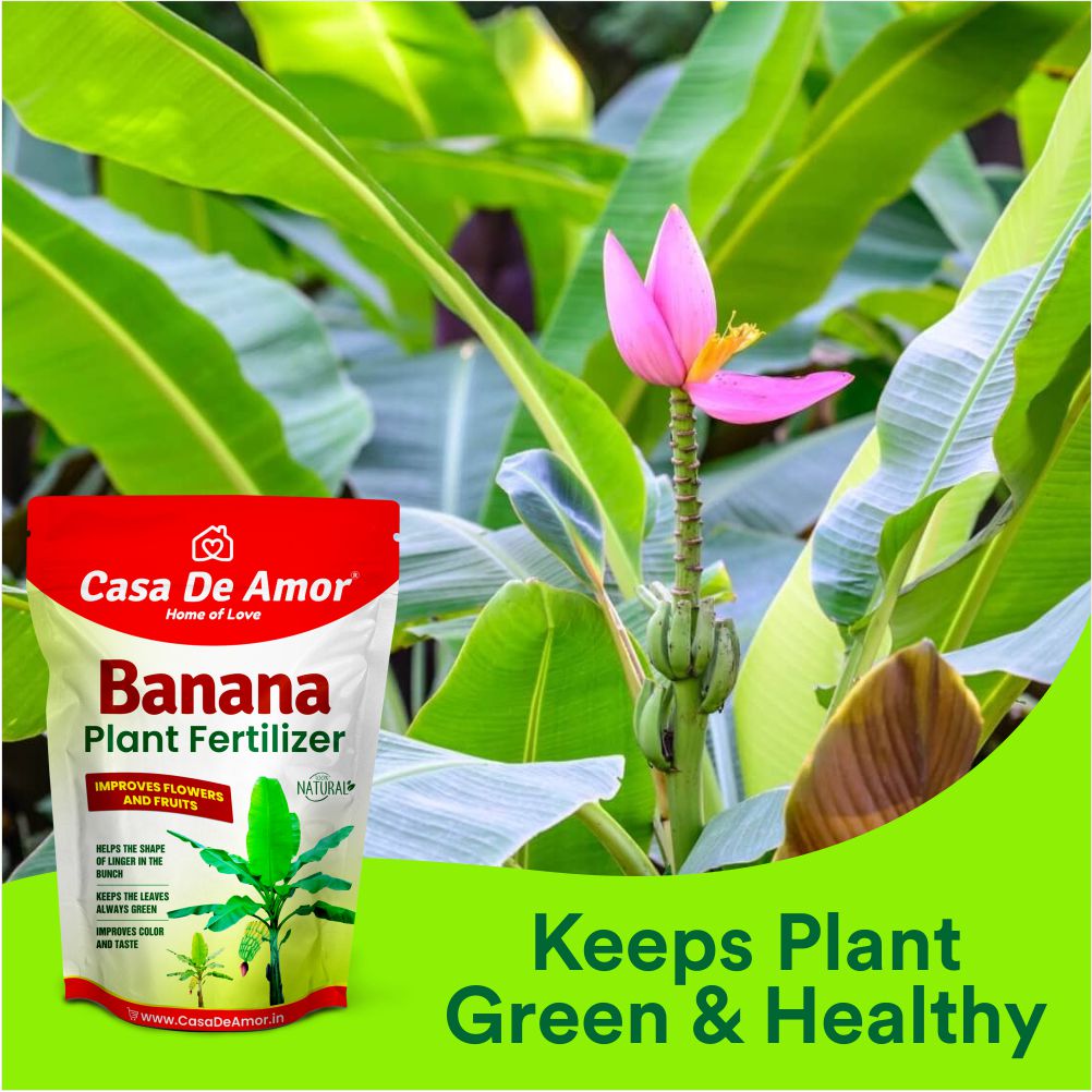 Casa De Amor Banana Plant Fertilizer, Plant Feeds & Growth Promoter for Banana Plants