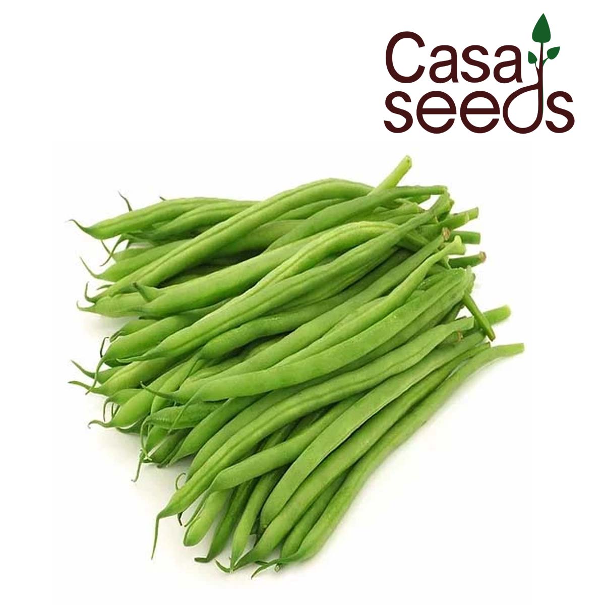 Beans Long Green - 50 Seeds