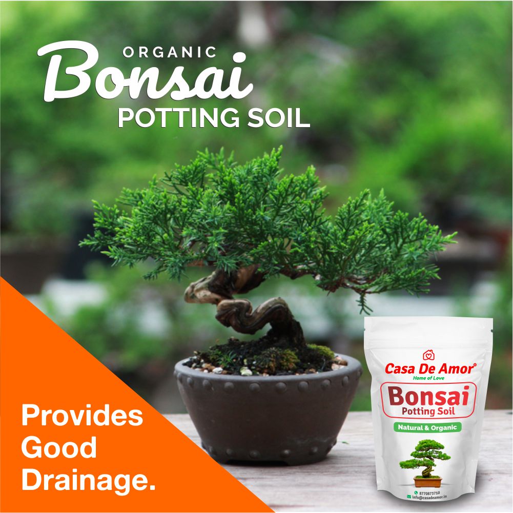 Casa De Amor Bonsai Potting Soil Organic Ready to Use
