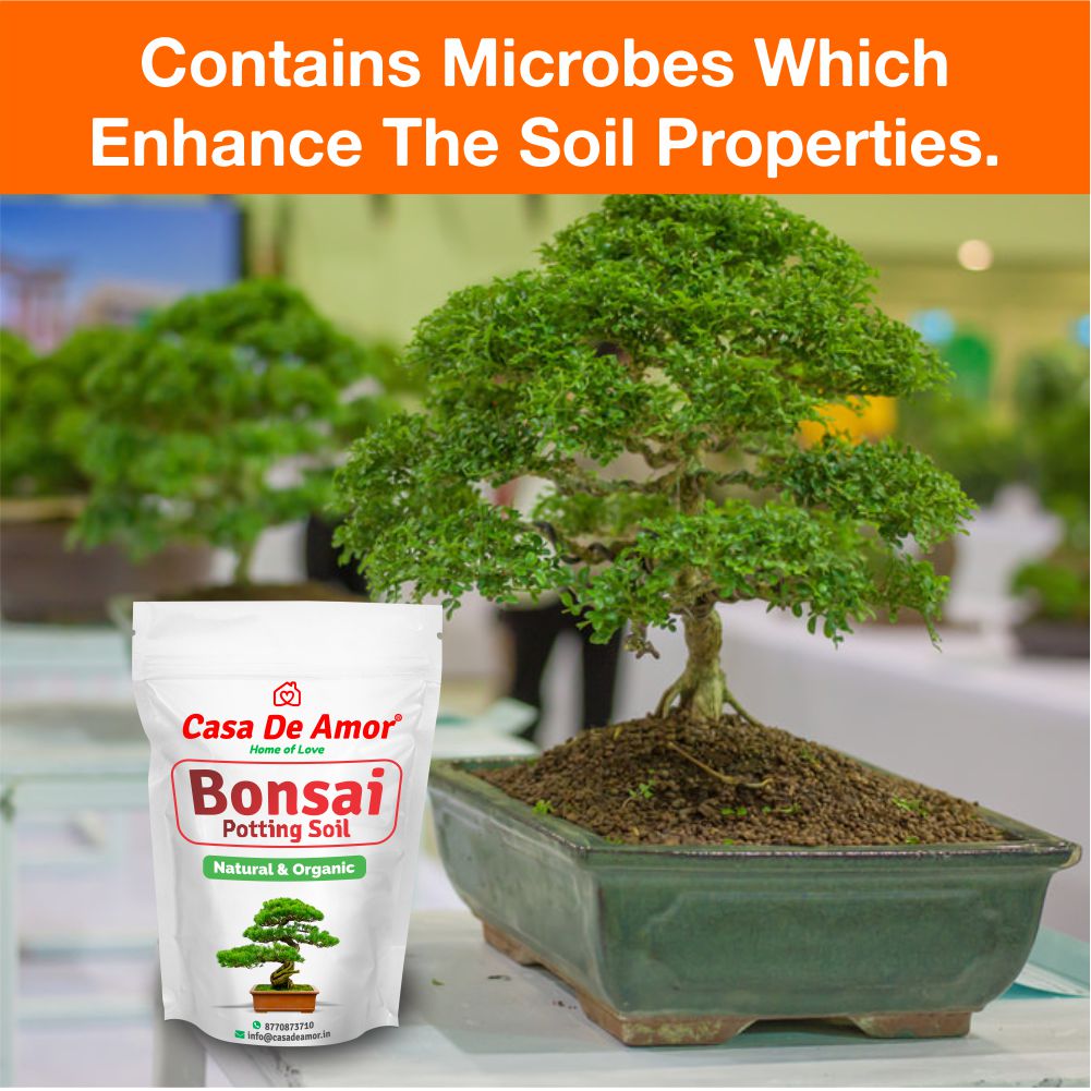 Casa De Amor Bonsai Potting Soil Organic Ready to Use