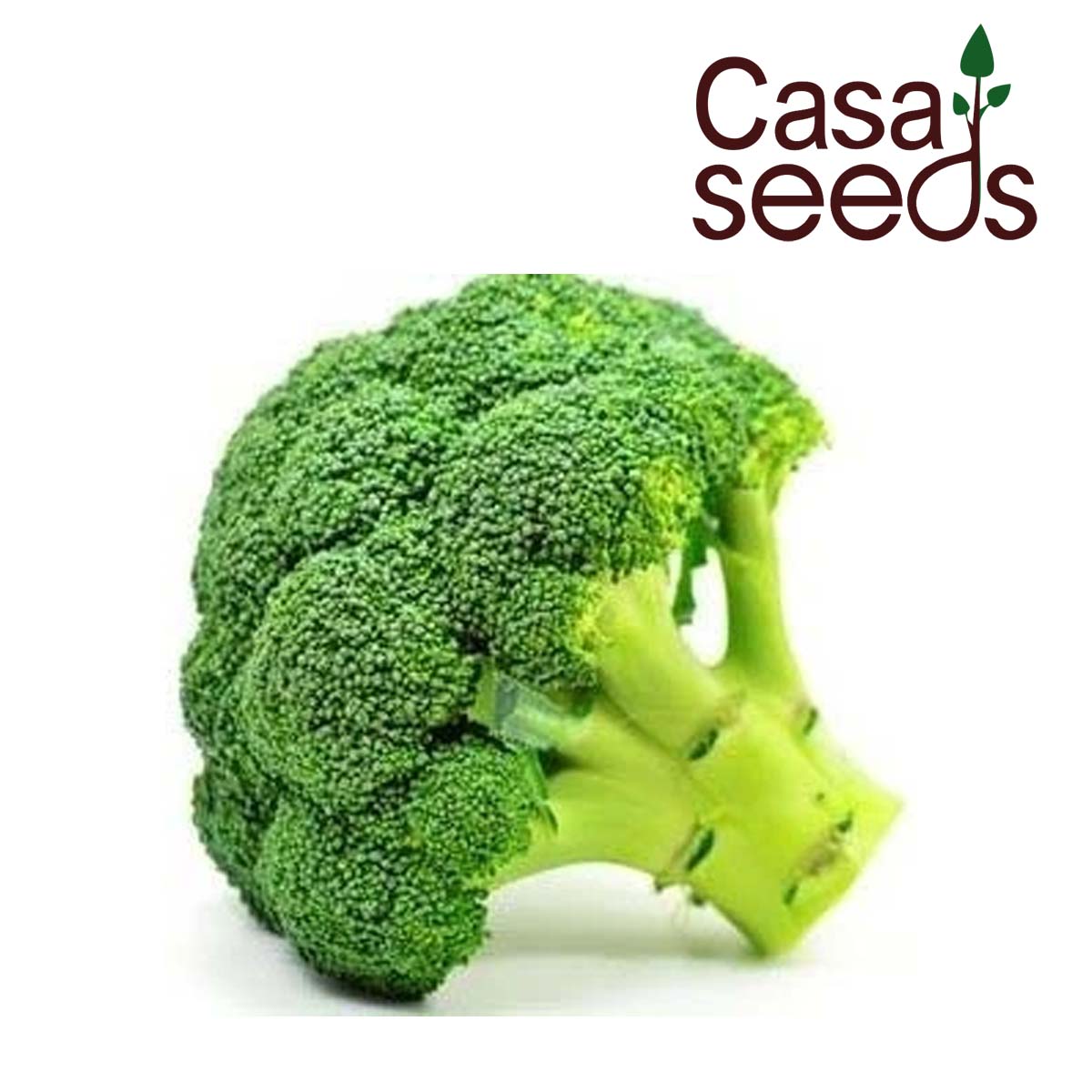 Broccoli - 100 Seeds