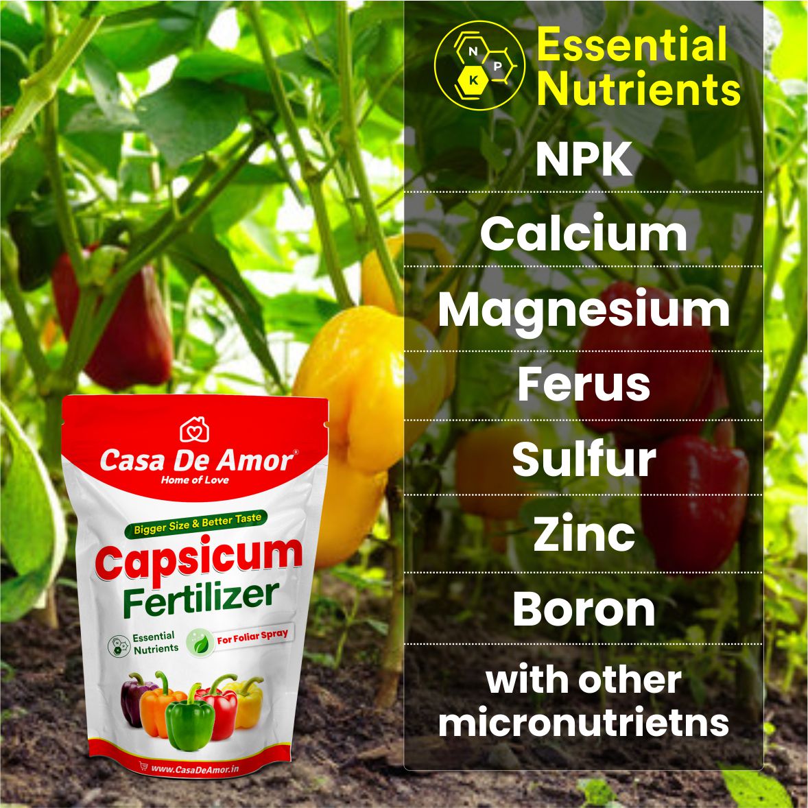 Casa De Amor Capsicum Plant Fertilizer for Home, Kitchen and Terrace Gardening