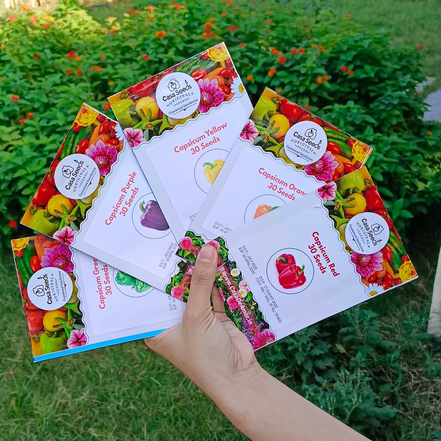 Casa De Amor Capsicum Seeds (Green, Yellow, Red, Orange & Purple Vegetable Seeds) for Home and Terrace Gardening (Each 30 Seeds, Total 150 Seeds)