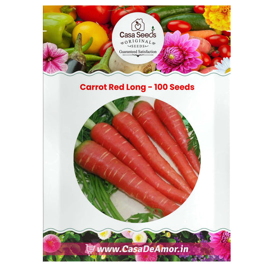 Carrot Seeds - Carrot Red Long (Seeds - 100)