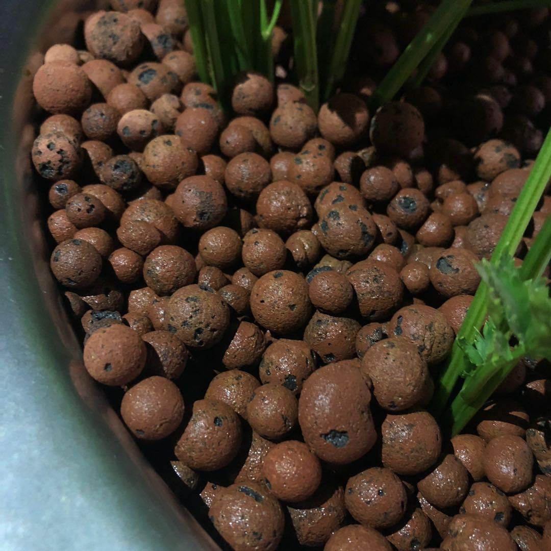 clay pebbles for plants