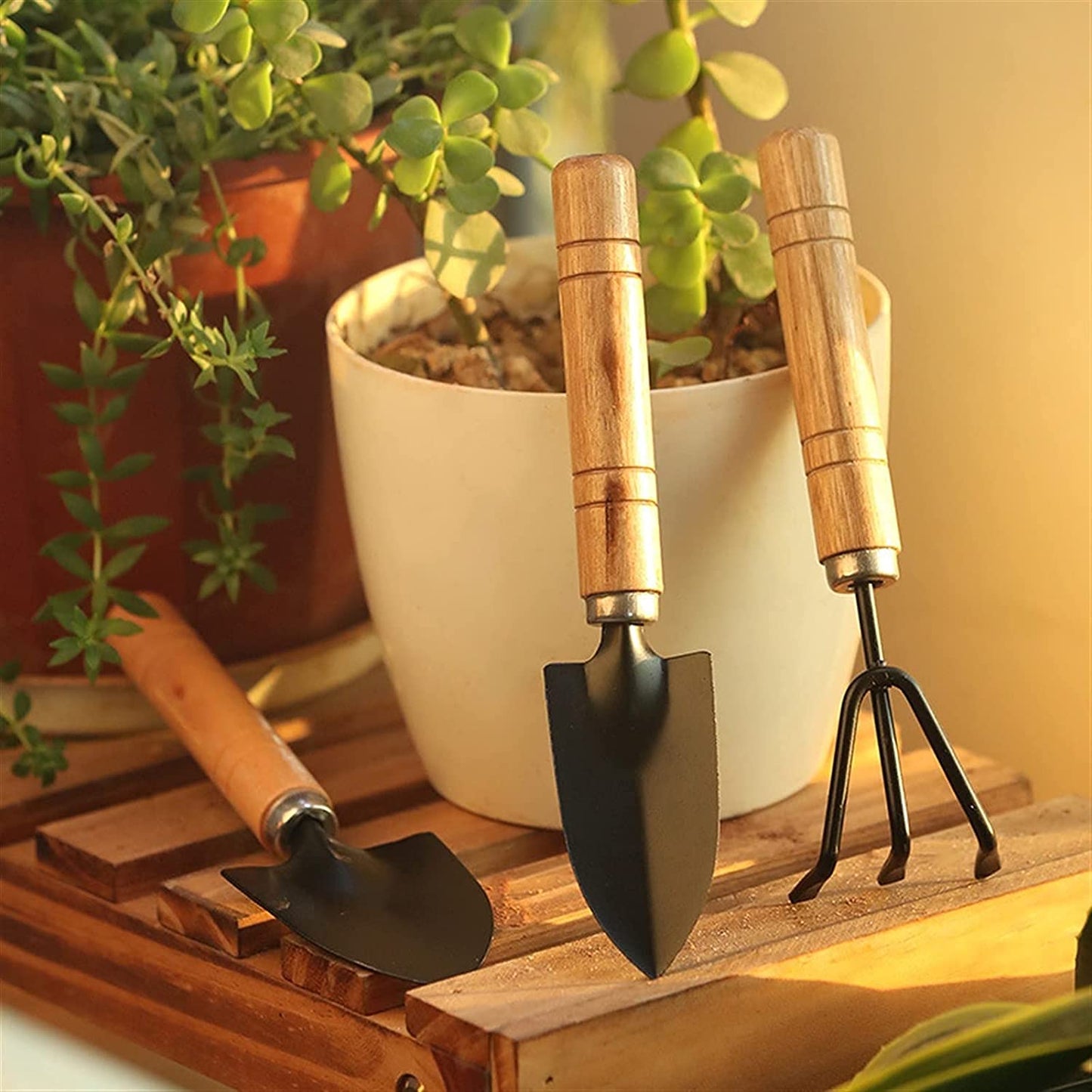 Casa De Amor Mini Gardening Tools Kit - Cultivator, Trans-Planter and Trowel (3 Piece)