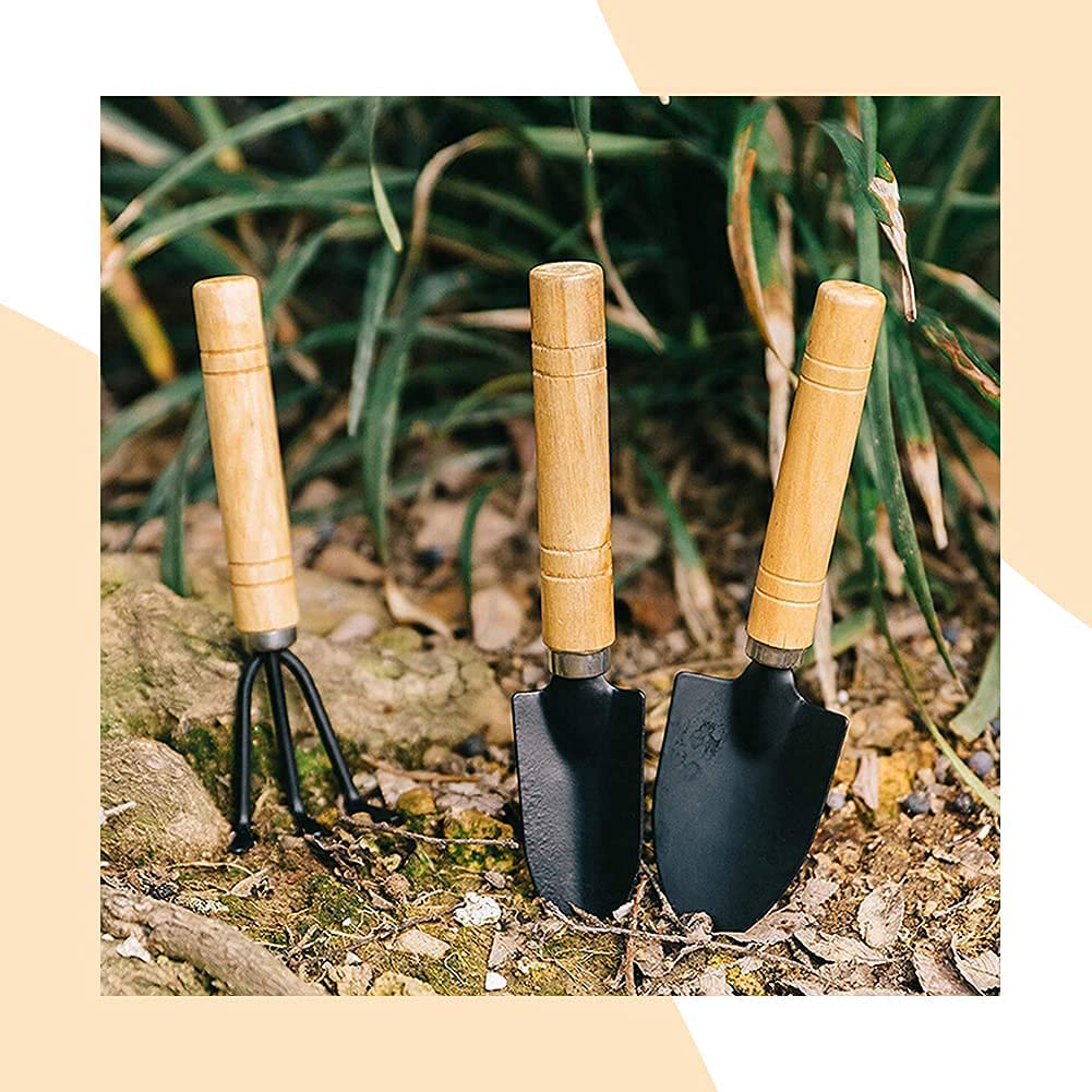 Casa De Amor Mini Gardening Tools Kit - Cultivator, Trans-Planter and Trowel (3 Piece)