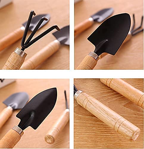 Casa De Amor Mini Gardening Tools Kit - Cultivator, Trans-Planter and Trowel (3 Piece)