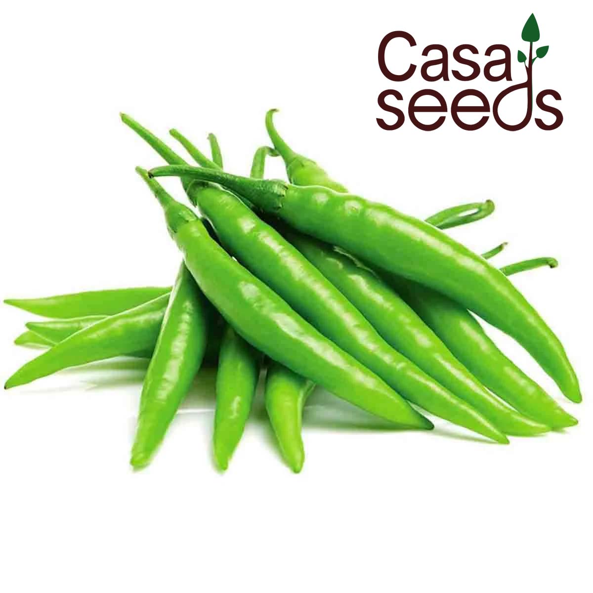 Chilli Hot - 50 Seeds