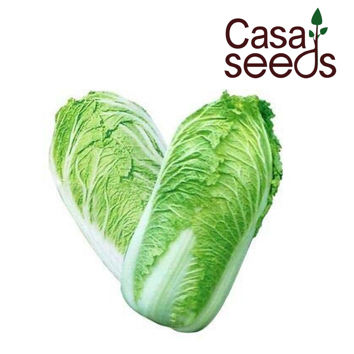 Chinese Cabbage- 50 Seeds