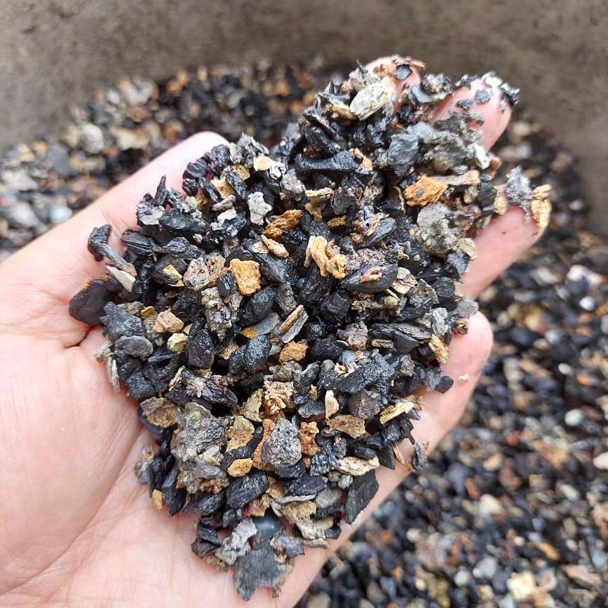 cinder for plants online india