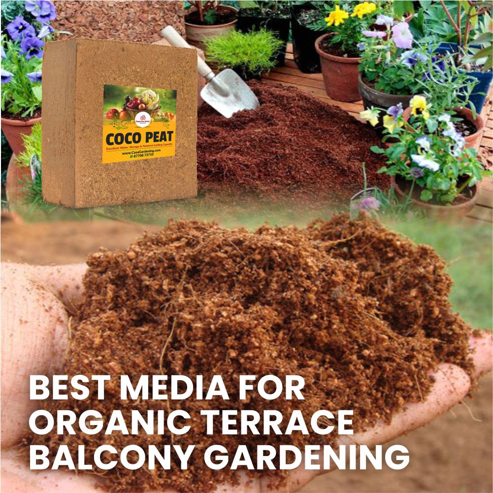 Casa De Amor Cocopeat and Vermicompost Excellent Media for Terrace, Balcony and Home Gardening