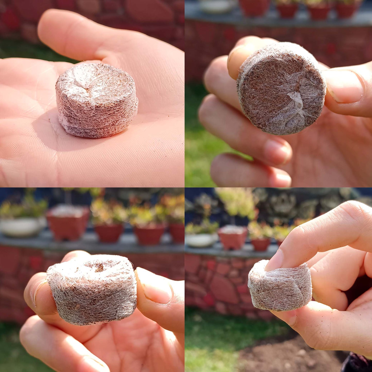 Casa De Amor Seed Starter Coco Disc | Coco Pellets | Coco Coin | Hydroponics Seed Germination kit - Coir Fiber Cocopeat Seedling Coins 30 mm