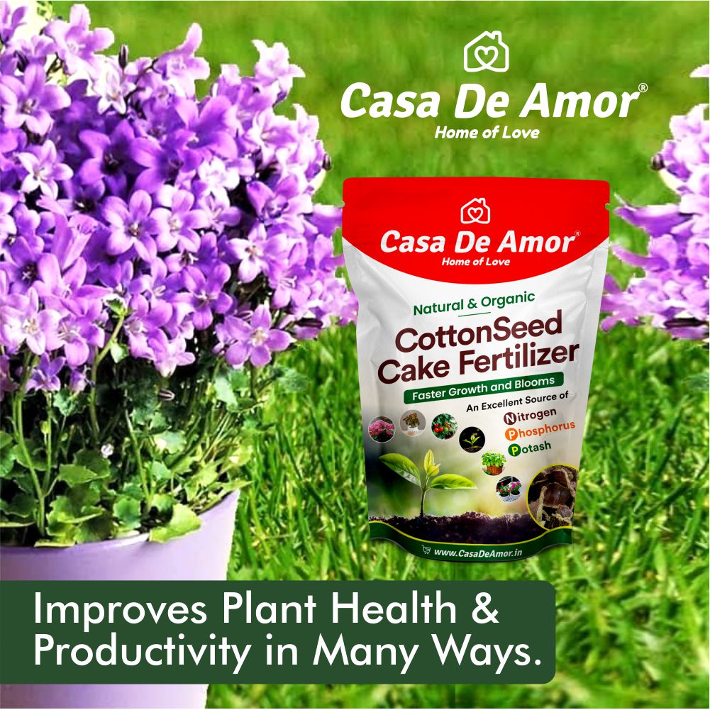 Casa De Amor Cottonseed Cake Organic Fertilizer (Kapasya khal)