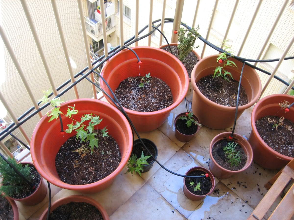 Casa Drip Kit Drip Irrigation Garden Watering 50 Plants - Casa De Amor Organic Gardening India