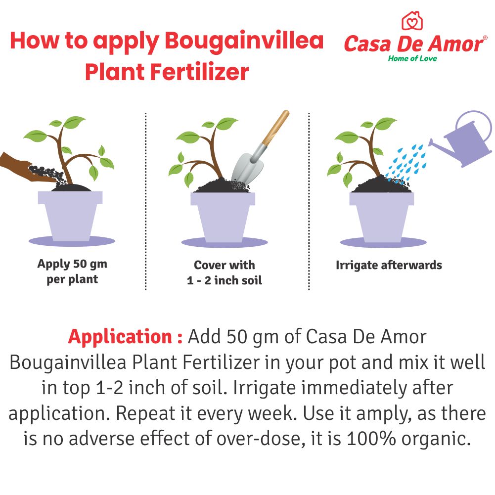 Casa De Amor Bougainvillea Plant Fertilizer, Promotes More Blooms and Greater Color