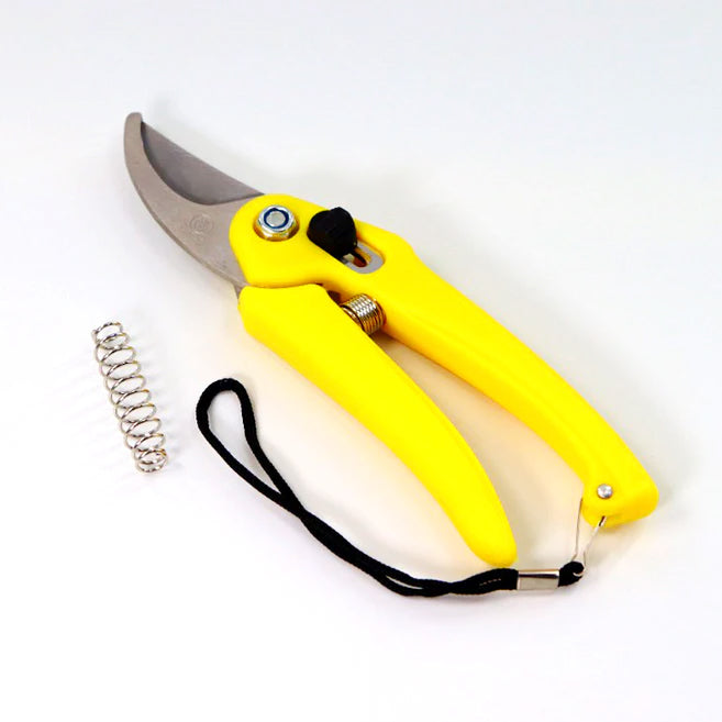 Casa De Amor Heavy Duty Plant Cutter For Home Garden Scissors - Set of 1 "The color may vary."