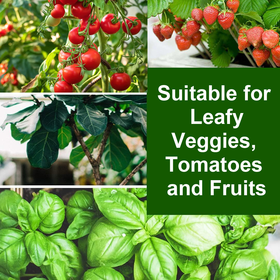 Casa De Amor Hydroponic A&B Nutrients - For Leafy, Veggies, Tomatoes & Fruits, 15 Elements, 200L Solution, Balanced Plant Nutrition