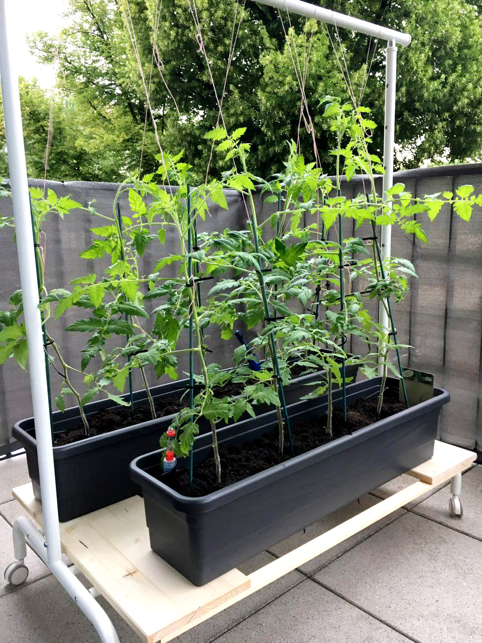 Casa De Amor Rack for Hanging Planters and Plant Stand, Suitable for Indoor and Balcony gardening, White