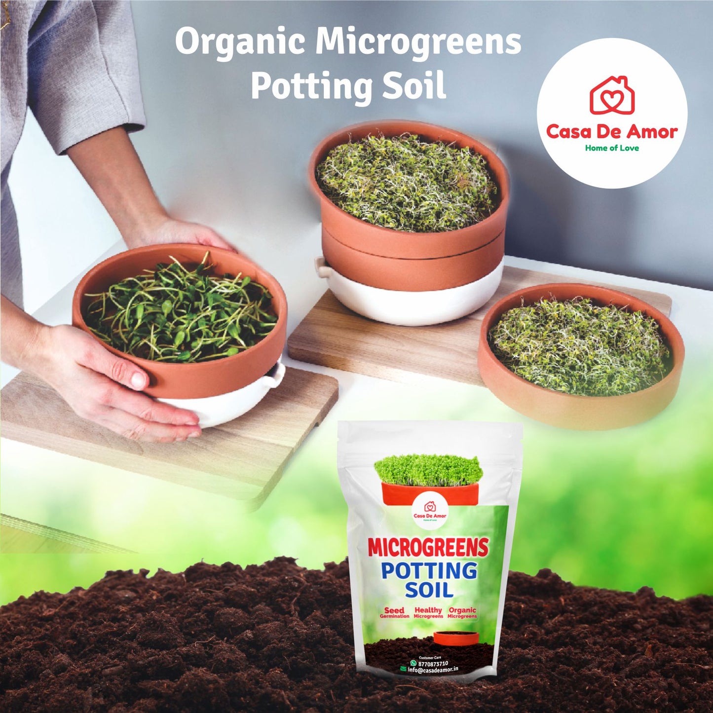 Grow Microgreens in Kitchen Garden, Terrace Garden