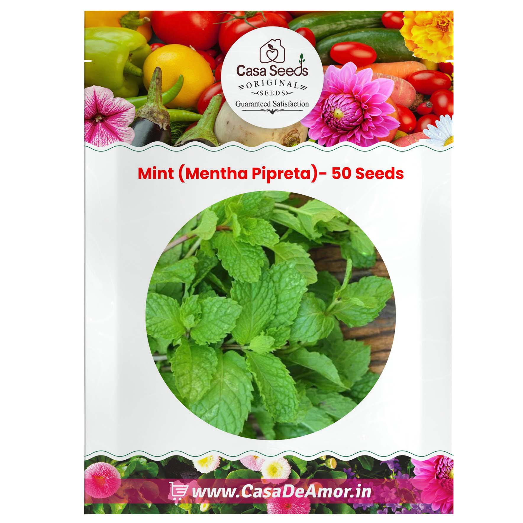 pudina plant seeds Herb Mint (Pudina / Mentha Pipreta)- 50 Seeds – Casa De Amor