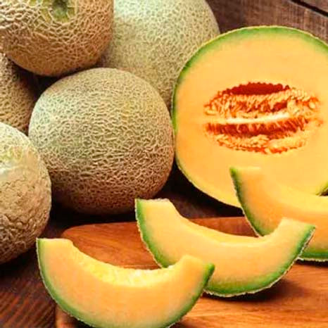 Muskmelon- 50 Seeds