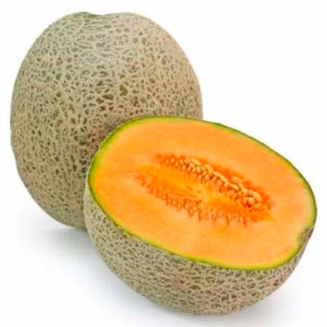 Muskmelon- 50 Seeds