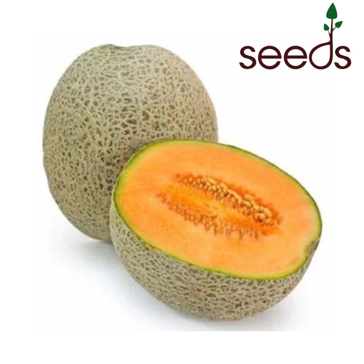Muskmelon- 50 Seeds