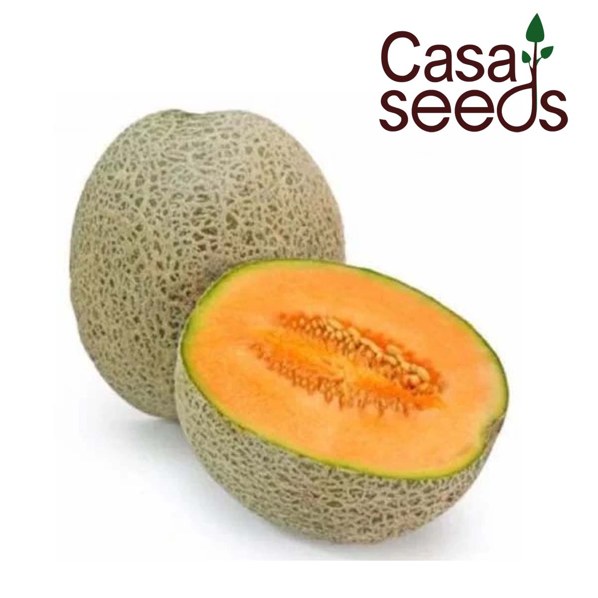 Muskmelon- 50 Seeds