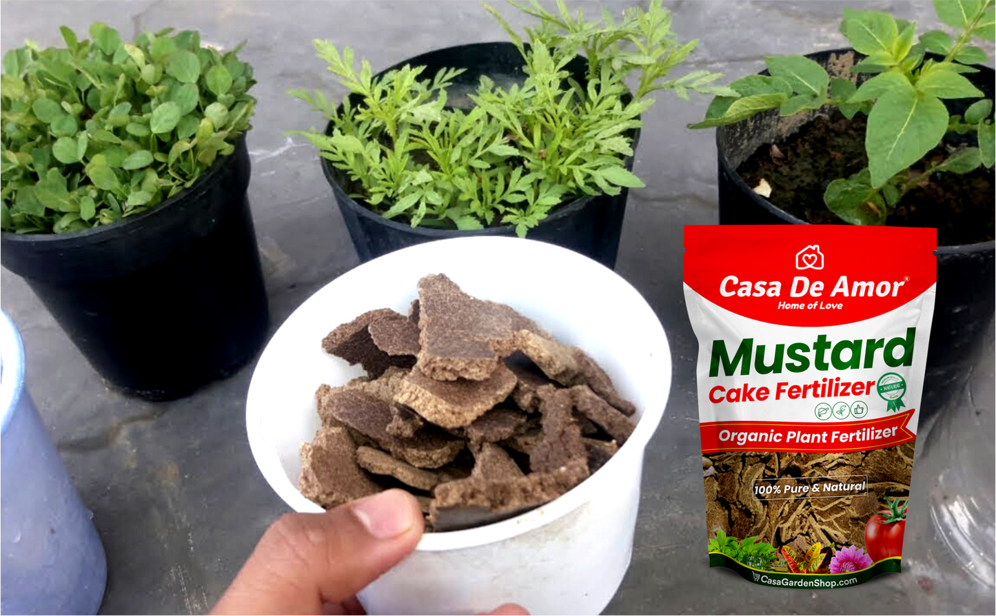 Casa De Amor Mustard Oil Cake Fertilizer for Plant Growth and Healthy Roots