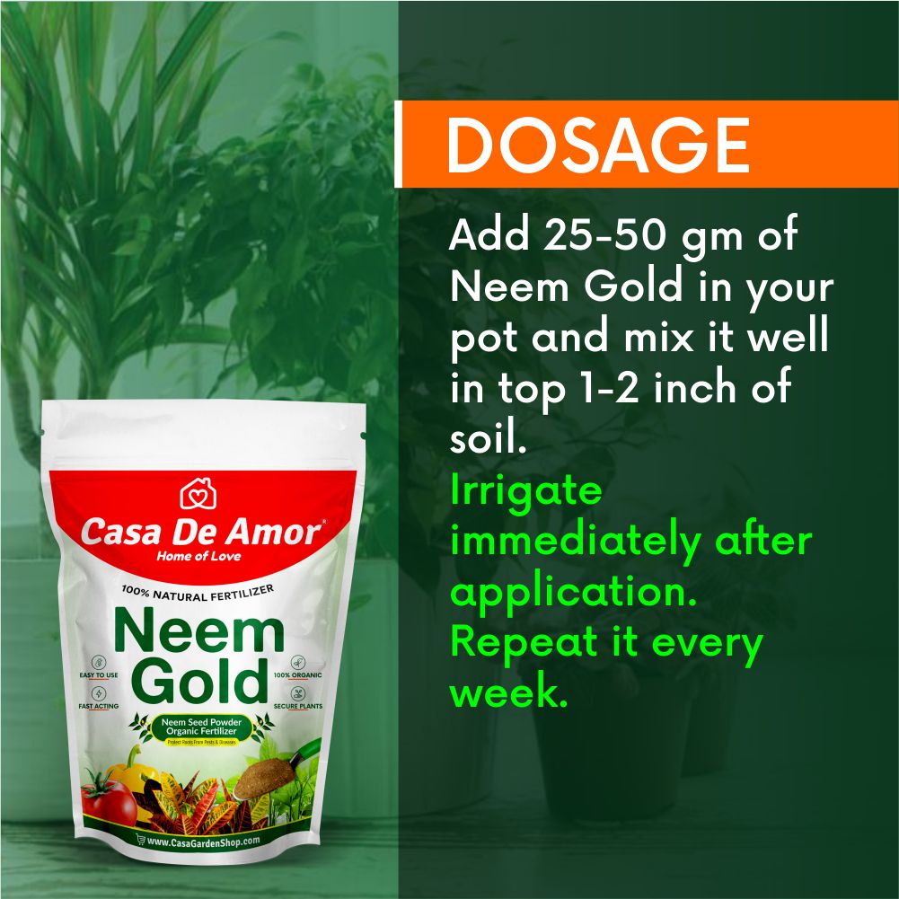 Casa De Amor Special Combo Pack- Neem Khal Powder (900 gm)+Mustard Oil Cake Powder (900 gm) total 1800 gm