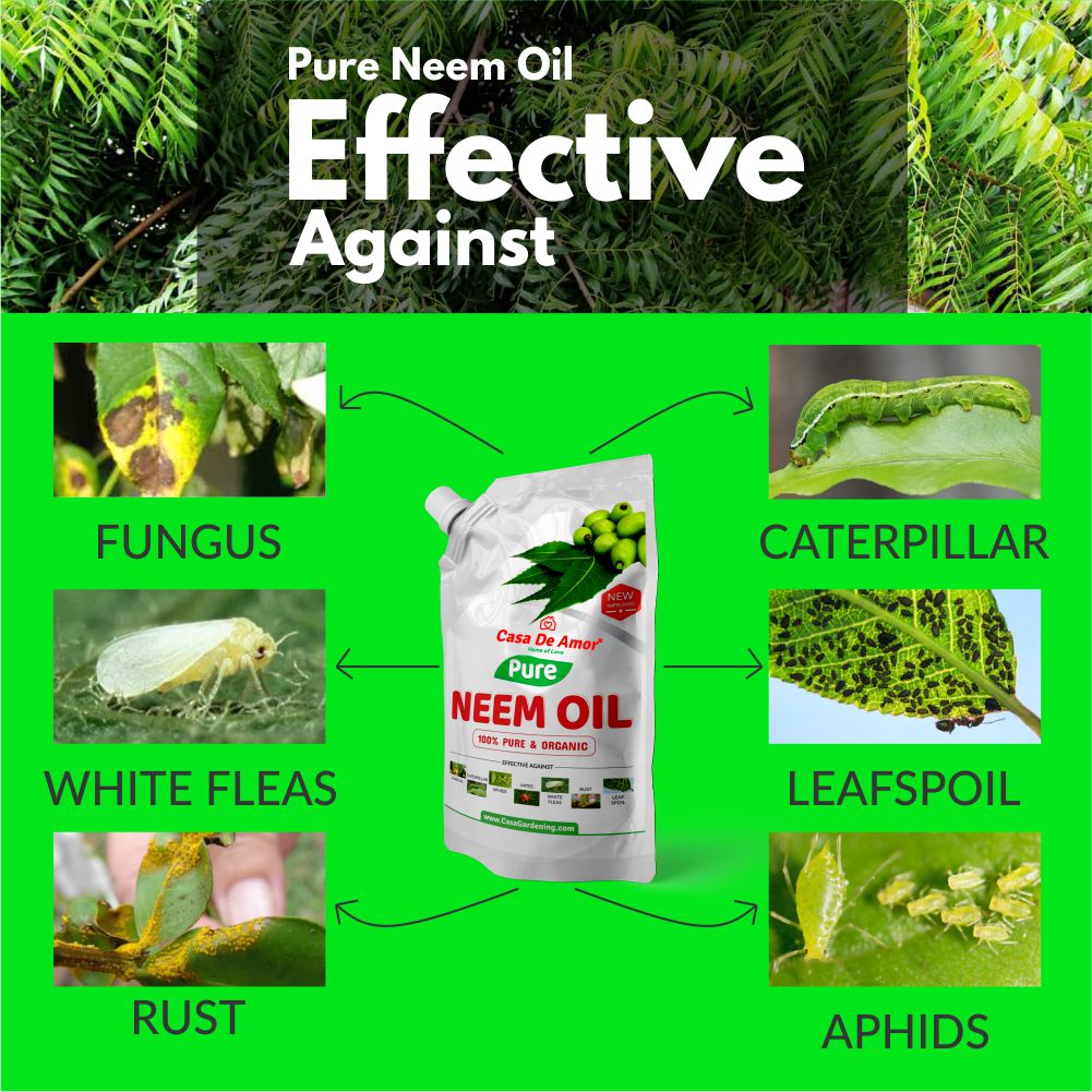Casa De Amor Special Combo Pack- Neem Khal Powder (900 gm) + Pure Neem Oil (200 ml)