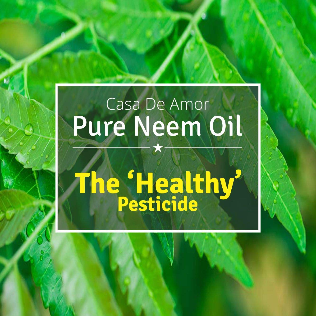 Casa De Amor Organic Cold Pressed, Pure Neem Oil For Spray On Plants & Garden