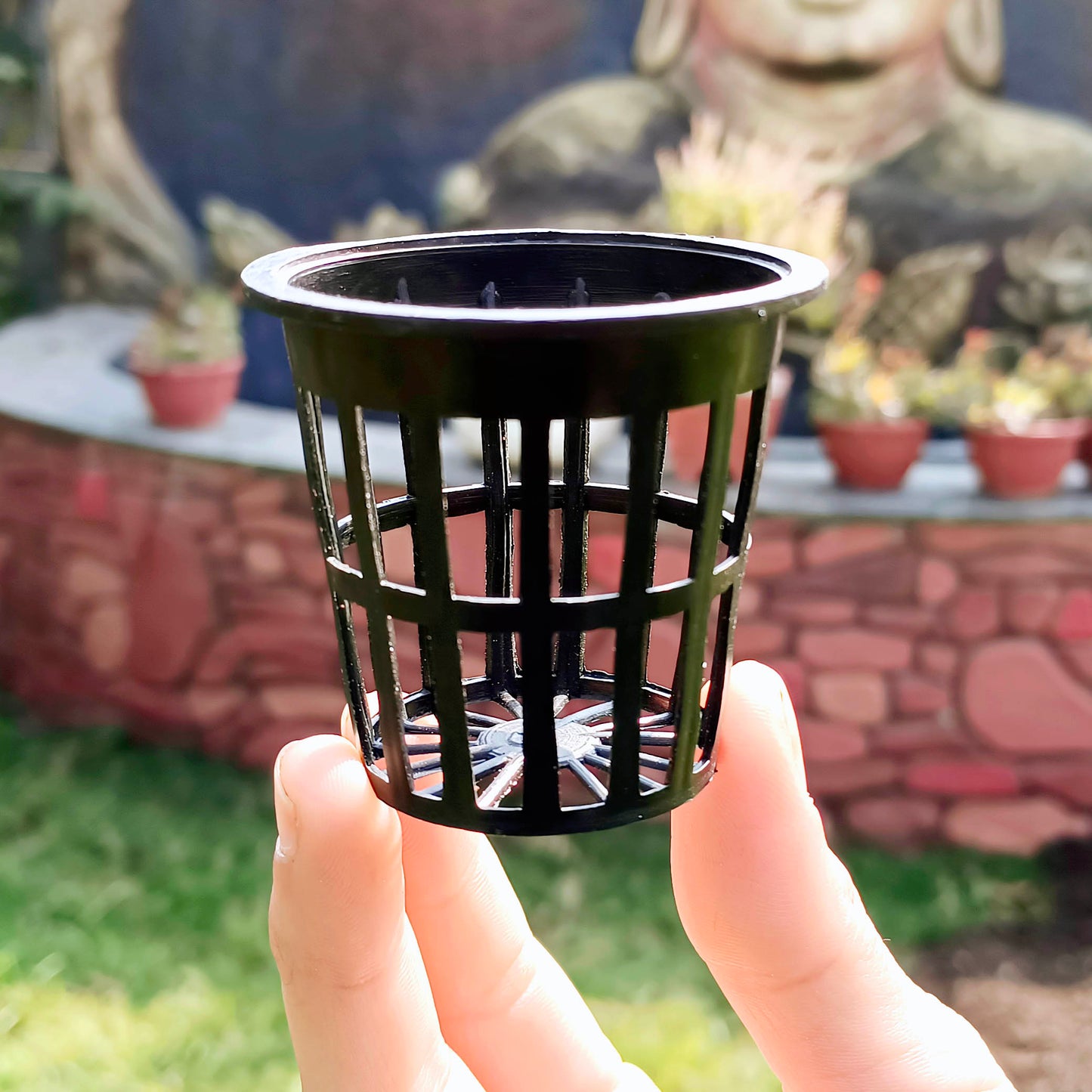Casa De Amor Lightweight Economy Net Pot Cups for Hydroponics and Aquaponics - 2" Diameter Thin Lip Design with Slotted Mesh Sides- Black