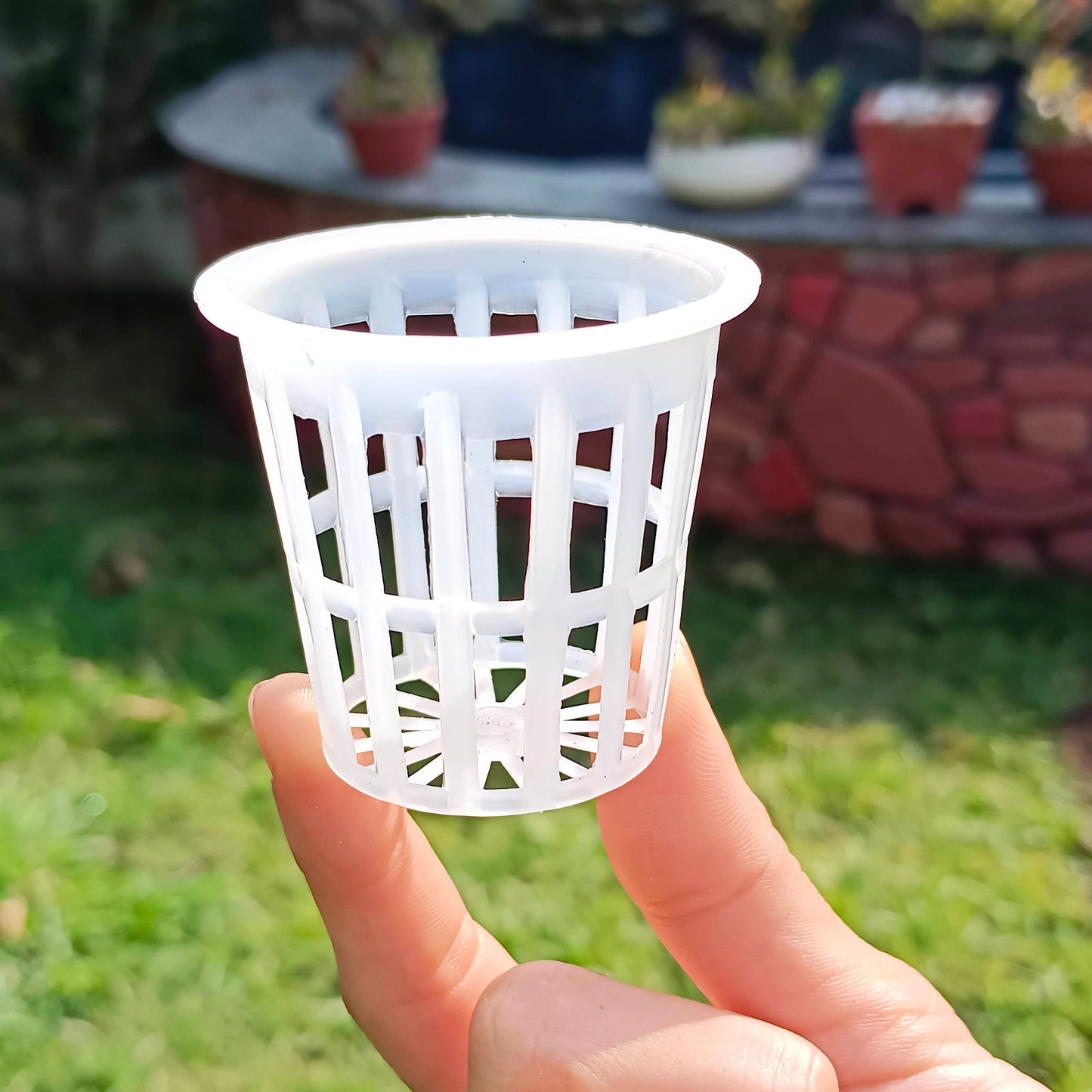Casa De Amor Lightweight Economy Net Pot Cups for Hydroponics and Aquaponics - 2" Diameter Thin Lip Design with Slotted Mesh Sides- White