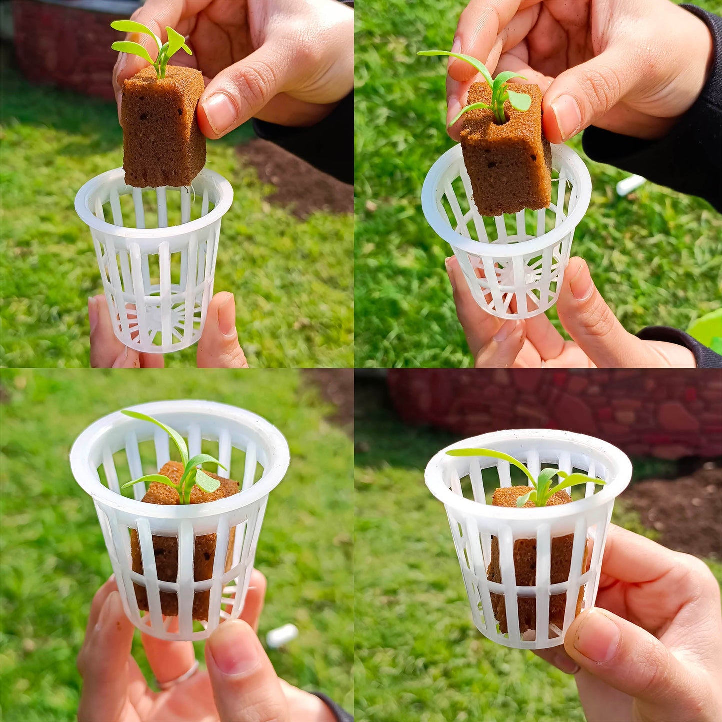 Casa De Amor Lightweight Economy Net Pot Cups for Hydroponics and Aquaponics - 2" Diameter Thin Lip Design with Slotted Mesh Sides- White