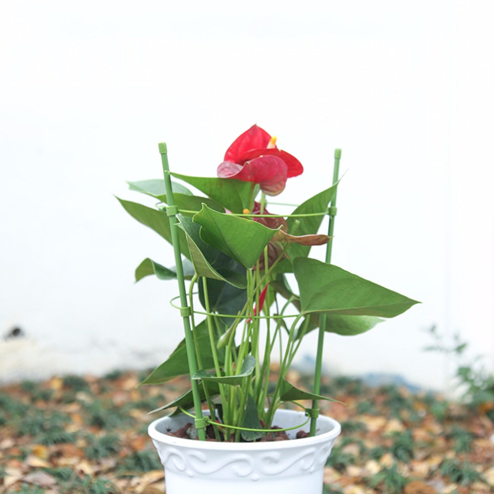 Garden Plant Support Climbing Plants60cm Conical Trellis Supporter Frame - Casa De Amor Organic Gardening India