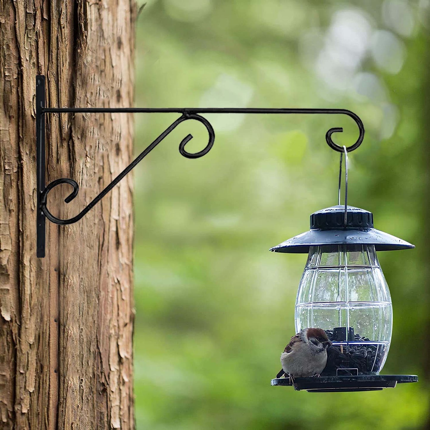 Casa De Amor Plant Hanger Brackets Wall Mounted-Metal Hooks for Flower Planter Bird Feeder Wind Chimes