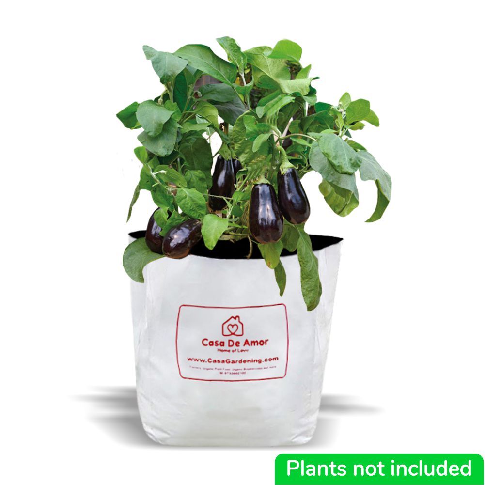 buy poly Grow Bags