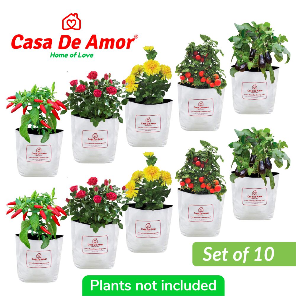 pack of 10 poly Grow Bags