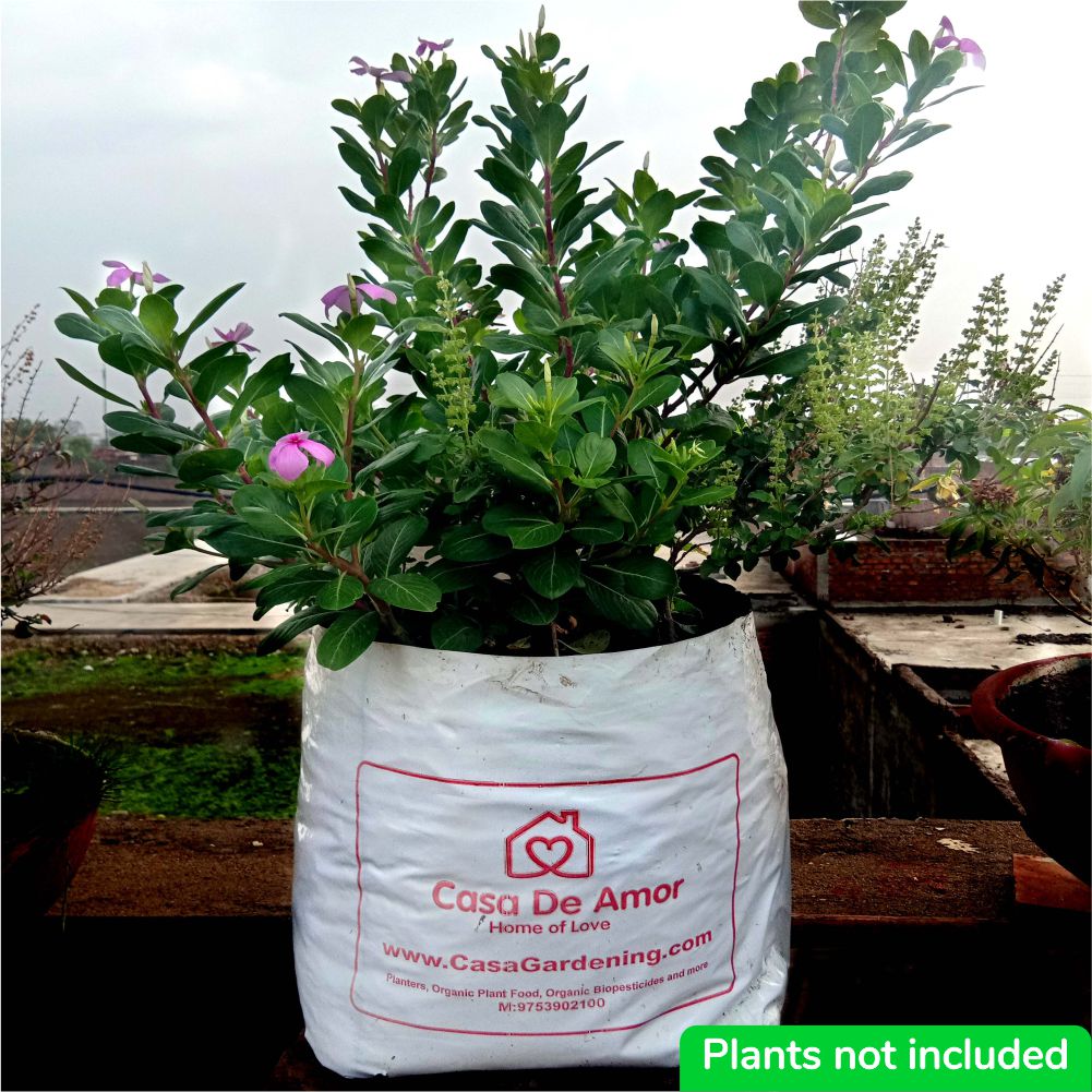 Poly Grow Bags (10), Best for Kitchen Gardens, Terrace Gardens, Balcony Gardens