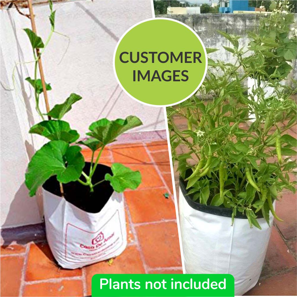 Poly Grow Bags (10), Best for Kitchen Gardens, Terrace Gardens, Balcony Gardens