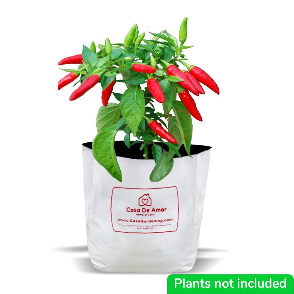 Poly Grow Bags (10), Best for Kitchen Gardens, Terrace Gardens, Balcony Gardens