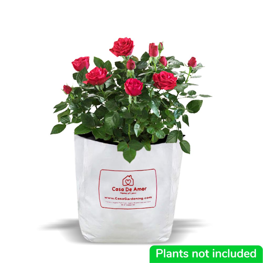 Poly Grow Bags (10), Best for Kitchen Gardens, Terrace Gardens, Balcony Gardens