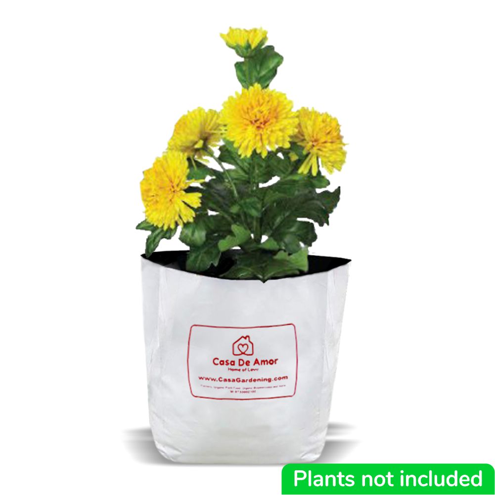 Poly Grow Bags (10), Best for Kitchen Gardens, Terrace Gardens, Balcony Gardens