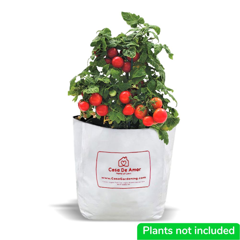 Poly Grow Bags (10), Best for Kitchen Gardens, Terrace Gardens, Balcony Gardens