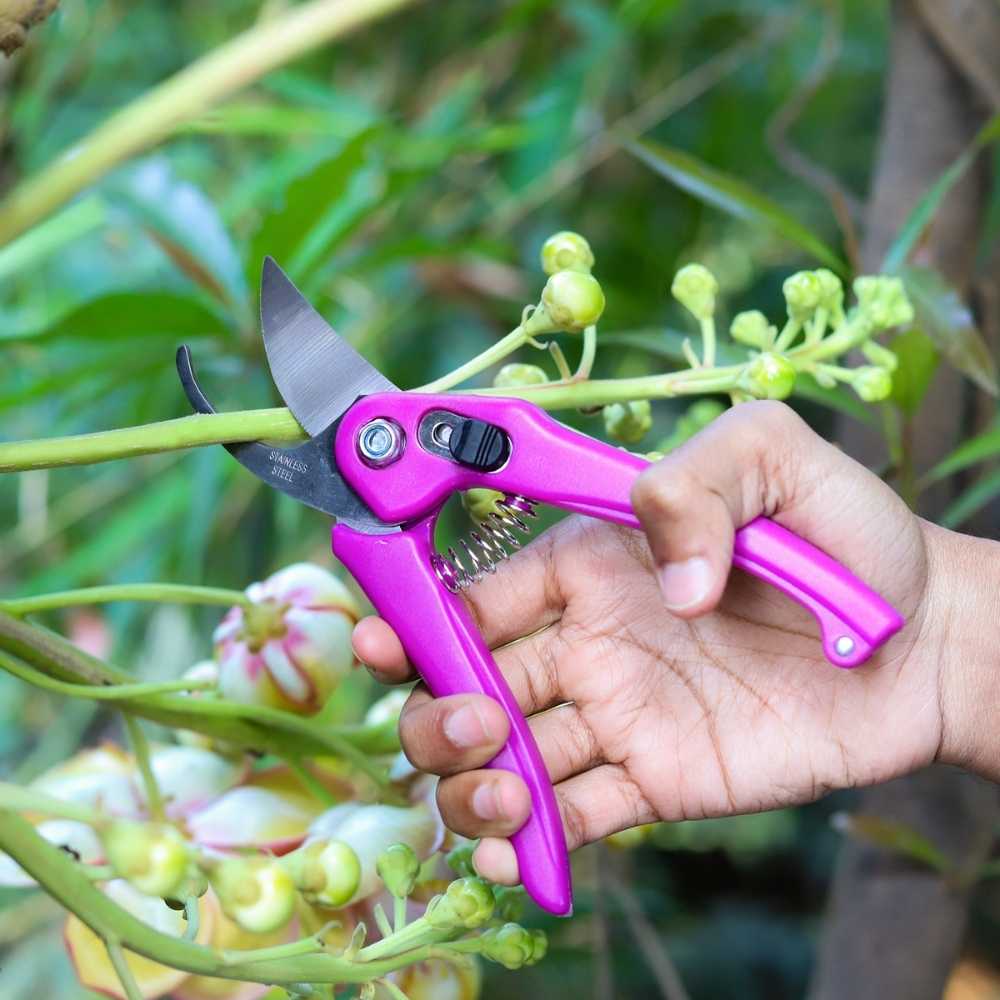 Casa De Amor 7 inches Mini Gardening Tool Set and Heavy Duty Plant Cutter