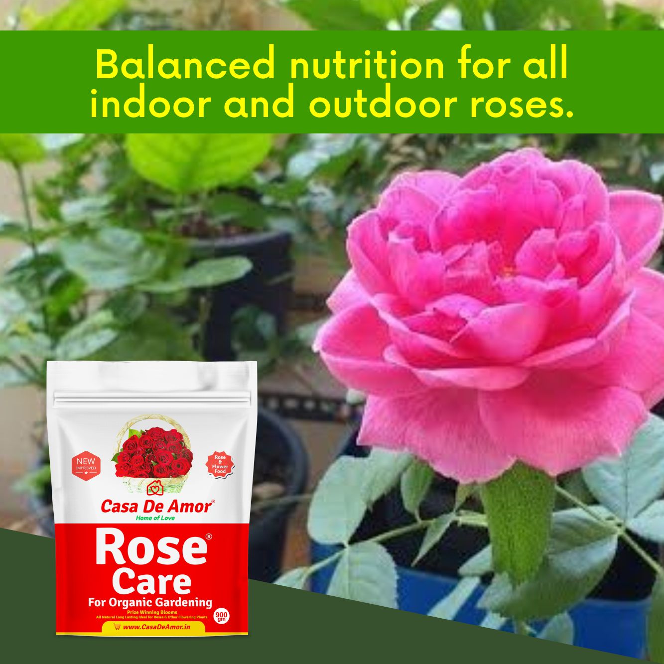 Casa De Amor Rose Care Fertilizer – 100% Organic Bloom & Root Booster for Rose Plants, NPK-Rich, Promotes Vibrant Flowers & Strong Stems
