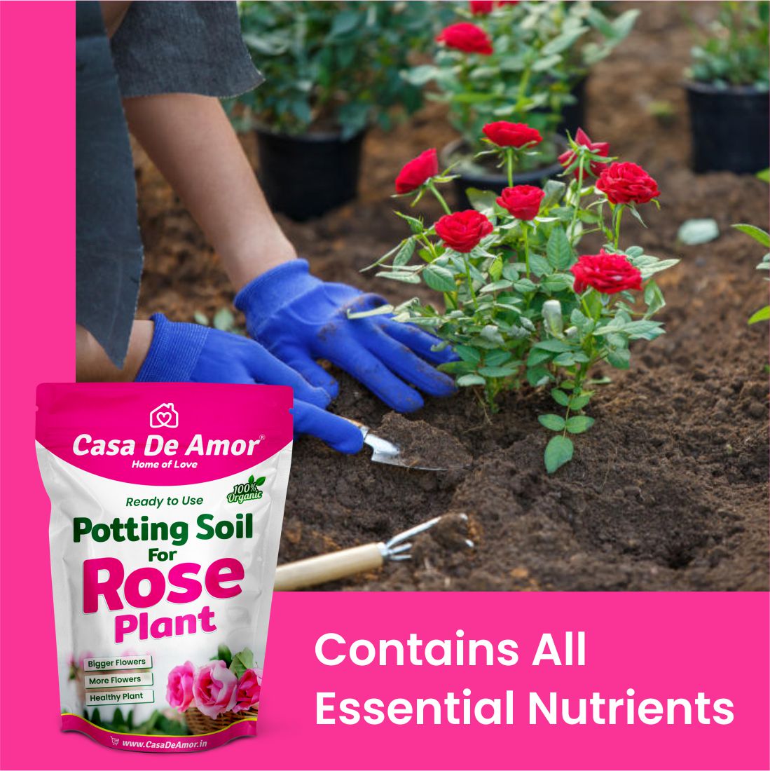 Casa De Amor Rose Potting Soil Mix, Ready to Use for Potting, Repotting and Topup for Rose Plants, 100% Organic