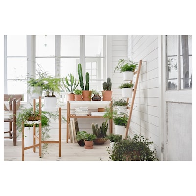 Casa De Amor Bamboo Plant Stand for 3 Plants